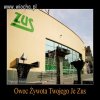 Owoc Żywota Twojego 