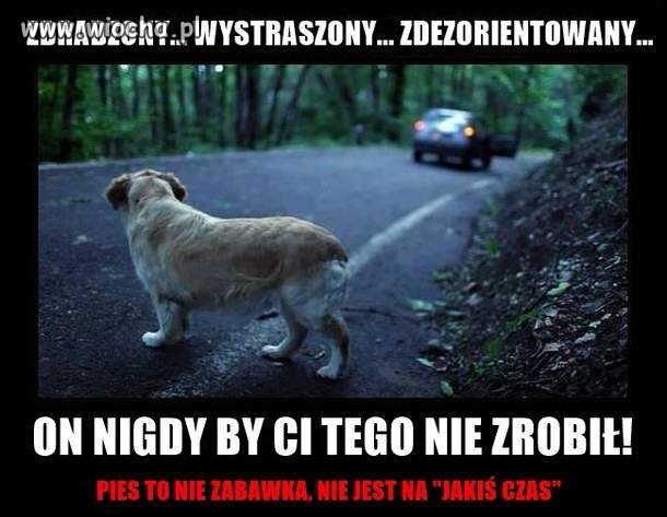 Pamiętajmy o nich !