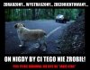 Pamiętajmy o nich !