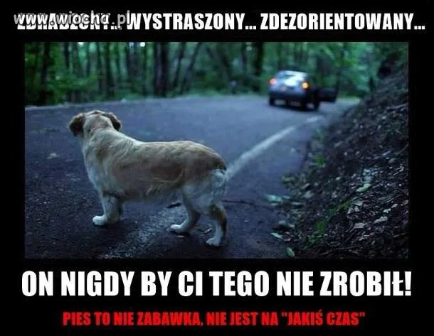 Pamiętajmy o nich !