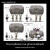 System pracy i oszczędności w Polsce.