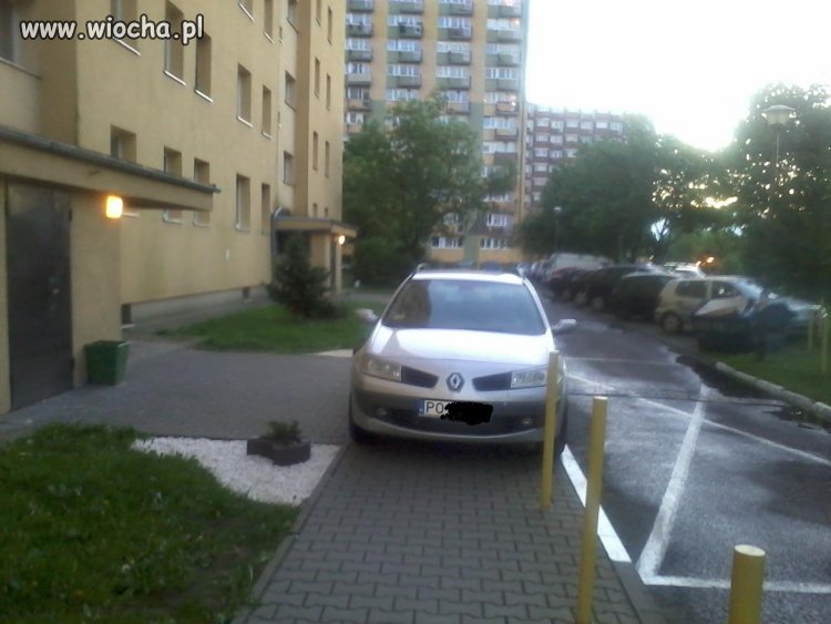 Mistrz parkowania...