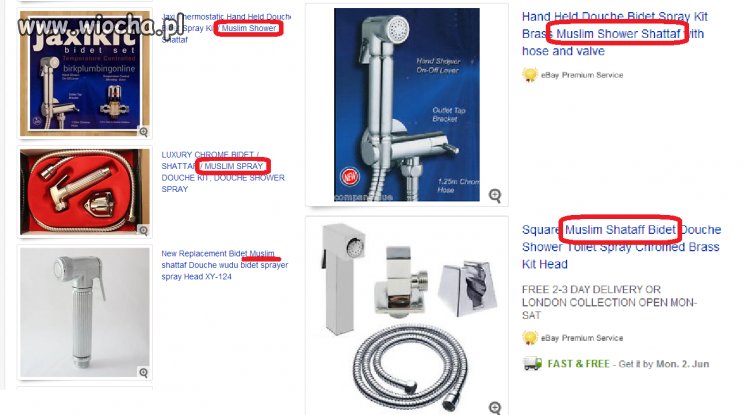 Na angielskim ebayu wpisałem hasło "bidet"
