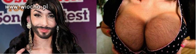 Conchita - kiełbasa