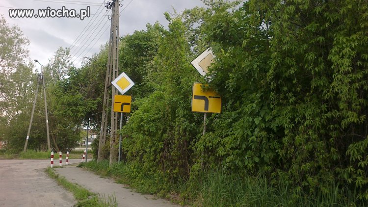 No i bądź tu mądry