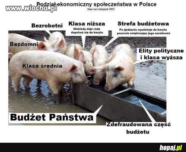 Coś w tym jest...