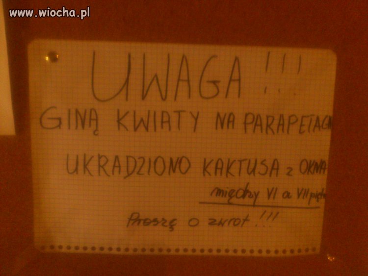  Na chrzanowskim osiedlu...