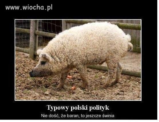 Było nie było ale mnie rozśmieszyło  