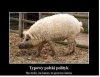 Było nie było ale mnie rozśmieszyło  