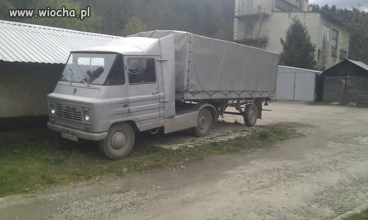 TIR ŻUK ?