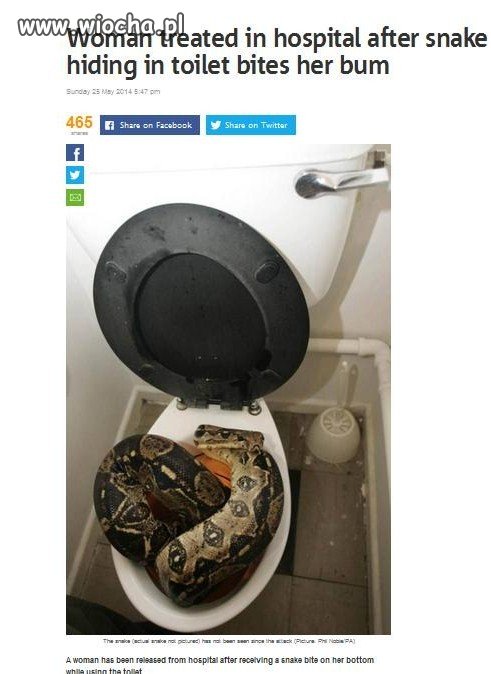 Wąż ukąsił ją w doopę