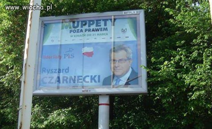 To się wpasował...