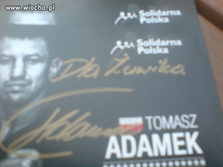 Tomasz Adamek Euro Żółwik