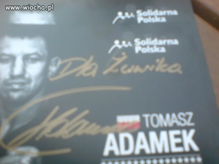 Tomasz Adamek Euro Żółwik