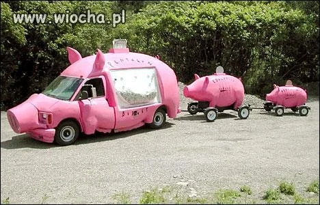 Rząd zakupił nowe auta 