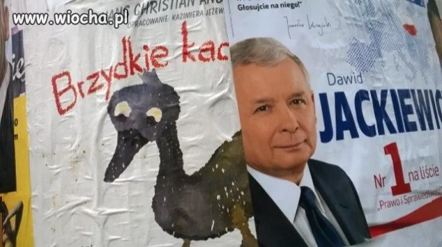 Kampania wyborcza
