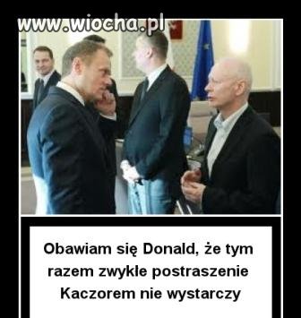 Czy POstrach ma wielkie oczy ?