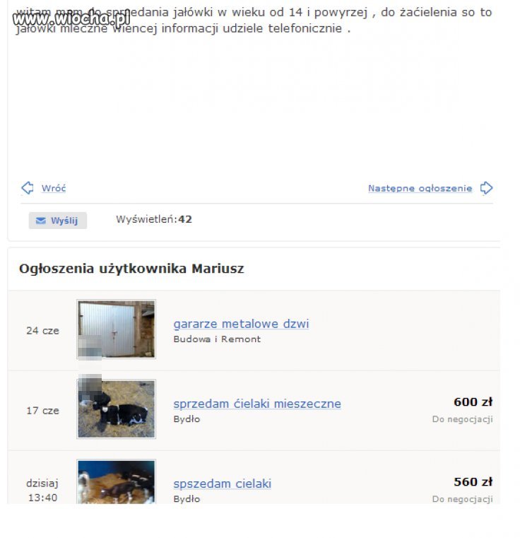 Mistrz handlu i ortografii 