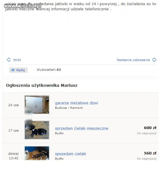 Mistrz handlu i ortografii 