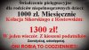 Takie małe porównanie ... 