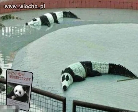 Prawie 