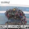 CYGANIE WRACAJĄCY Z HOLANDII