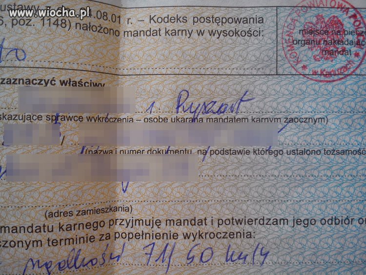 Polska policja...