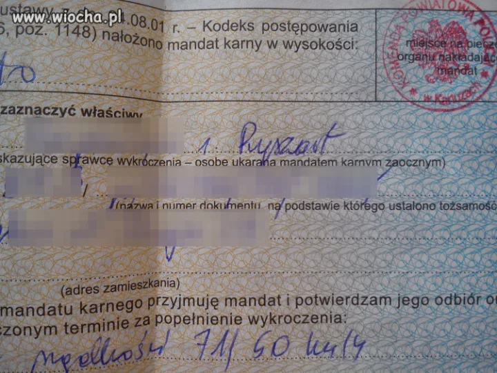 Polska policja...