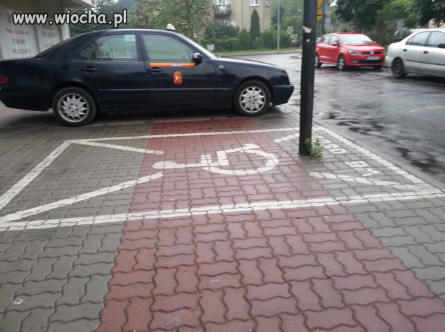 Kaleka umysłowa 