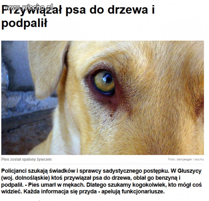 Jakim śmieciem trzeba być