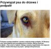 Jakim śmieciem trzeba być