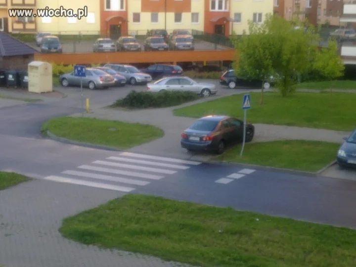Zaparkuję obok, trochę miejsca zostawił 