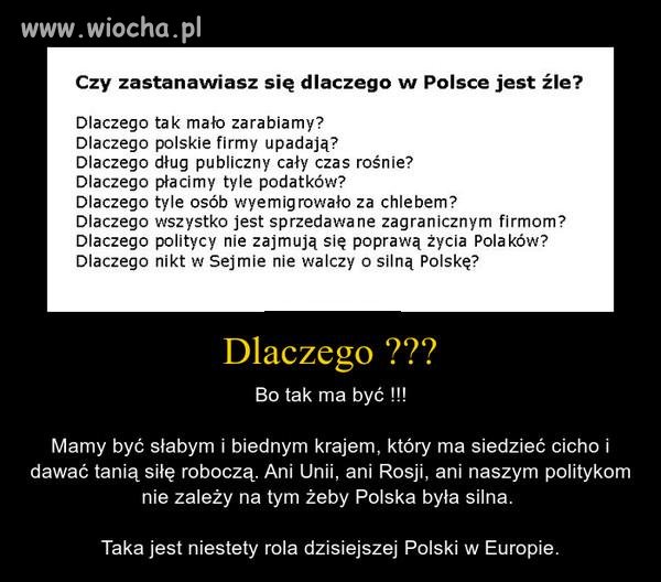 Rola naszego kraju w Europie,