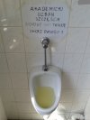 Akademicki dzban szczęścia