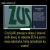  ZUS...