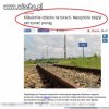 Na mirabelki jeszcze za wcześniej