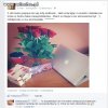 Próżność i Materializm