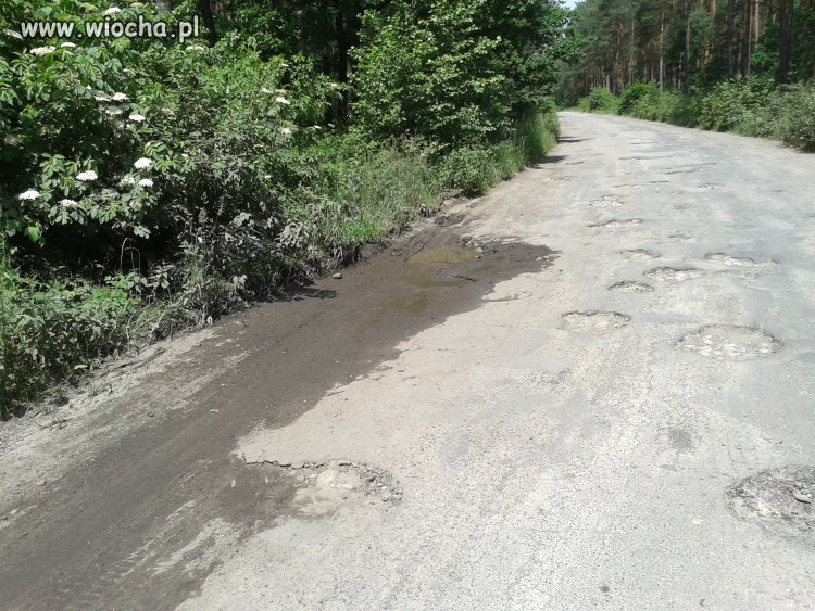 Tymczasem w UE