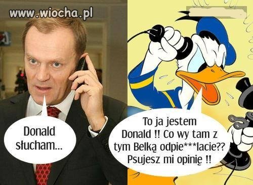 Oryginalny Donald