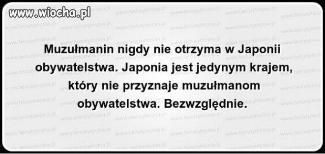 A mówicie że Japończycy to dziwacy 
