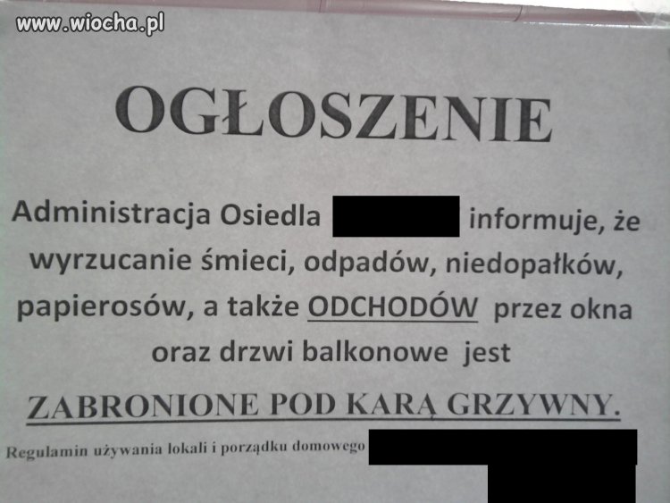Trzeba być świnią
