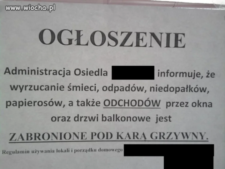 Trzeba być świnią