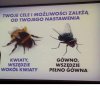 Optymizm & pesymizm.