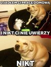 Podstępny piesior 