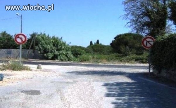Jedyny słuszny kierunek