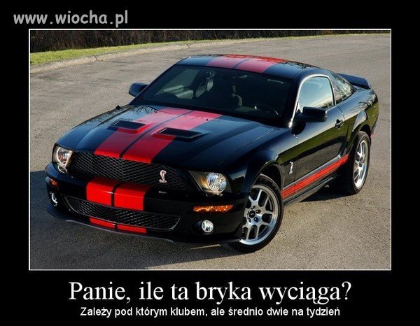 Wóz jak kobita
