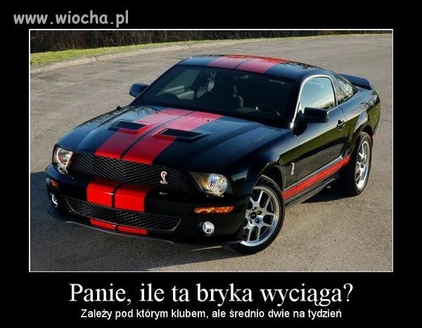 Wóz jak kobita