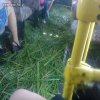 Trawa w autobusie