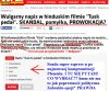 Jak przychylna rządowi gazeta broni Tuska