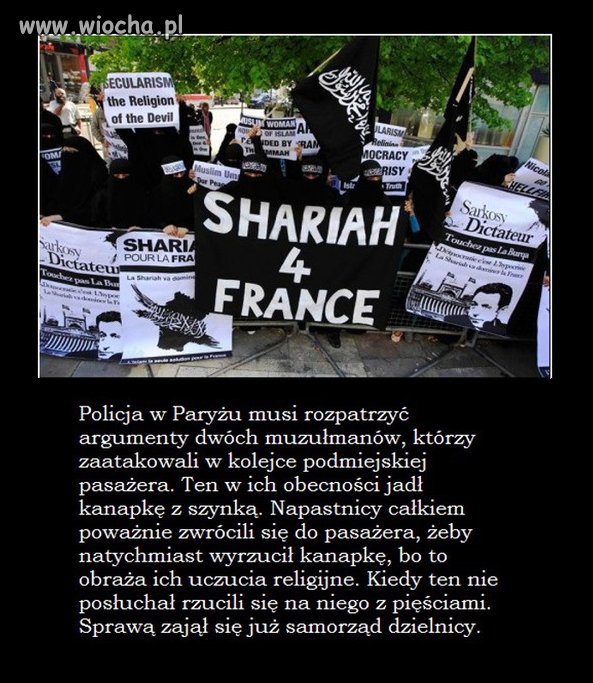 Kolejne absurdalne przykłady agresji